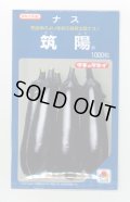 送料無料　[なす]　筑陽　1000粒　タキイ種苗(株)