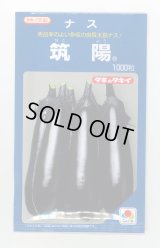 送料無料　[なす]　筑陽　1000粒　タキイ種苗(株)