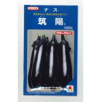 [なす]　送料無料！　筑陽　1000粒　タキイ種苗（株）