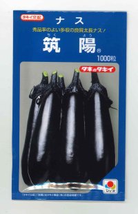 [なす]　送料無料！　筑陽　1000粒　タキイ種苗（株）