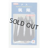 送料無料　[なす]　筑陽　1000粒　タキイ種苗(株)