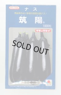 送料無料　[なす]　筑陽　1000粒　タキイ種苗(株)