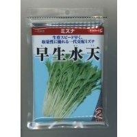送料無料　[葉物]　みず菜　早生水天　2dL　(株)サカタのタネ