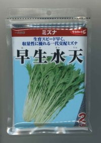 [葉物]　みず菜 早生水天　2dｌ　サカタのタネ（株）