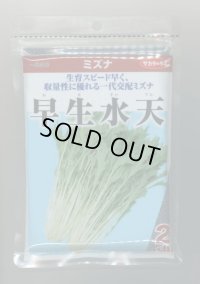 送料無料 みず菜 早生水天 2dL (株)サカタのタネ