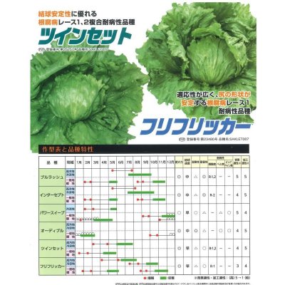 画像3: [レタス] ツインセット ペレット種子 5000粒 （株）サカタのタネ