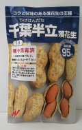 送料無料　[落花生]　千葉半立　1dl　(およそ70粒)渡辺農事
