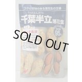 送料無料　[落花生]　千葉半立　1dl　(およそ70粒)渡辺農事（株）