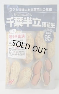 送料無料　[落花生]　千葉半立　1dl　(およそ70粒)渡辺農事（株）
