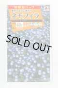 送料無料　花の種　お徳用パック！ネモフィラ　インシグニスブルー　5ml　タキイ種苗(株)