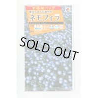 花の種　お徳用パック！ネモフィラ　インシグニスブルー　5ｍｌ　タキイ種苗（株）