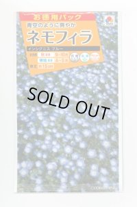 花の種　お徳用パック！ネモフィラ　インシグニスブルー　5ｍｌ　タキイ種苗（株）