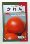 送料無料　[トマト/大玉トマト]　かれん　1000粒　(株)サカタのタネ