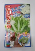 送料無料　[カリフラワー]　ゆきのこ65　40粒　ナント種苗(株)