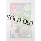 送料無料　[カリフラワー]　ゆきのこ65　40粒　ナント種苗(株)