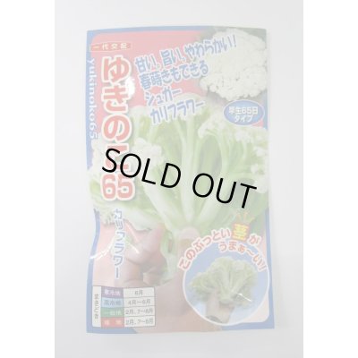画像1: 送料無料　[カリフラワー]　ゆきのこ65　40粒　ナント種苗(株)