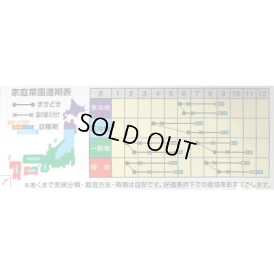 画像2: [カリフラワー]　ゆきのこ65　ペレット1000粒　ナント種苗(株)