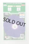 送料無料　花の種　朝顔　暁の海　約10粒　(株)サカタのタネ　実咲250（026194）