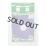 送料無料　花の種　朝顔　暁の海　約10粒　(株)サカタのタネ　実咲250（026194）