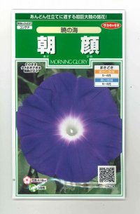 花の種　朝顔　 暁の海 　約10粒　サカタのタネ（株）　実咲250