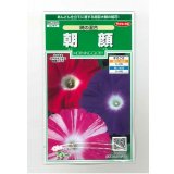 送料無料　花の種　朝顔　暁の混合　小袋　(株)サカタのタネ　実咲250（026192）