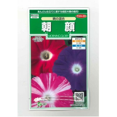 画像1: 花の種　朝顔　暁の混合  小袋　サカタのタネ（株）実咲250