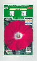 送料無料　花の種　朝顔　暁の紅　約10粒　(株)サカタのタネ　実咲250（026193）