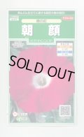 送料無料　花の種　朝顔　暁の紅　約10粒　(株)サカタのタネ　実咲250（026193）