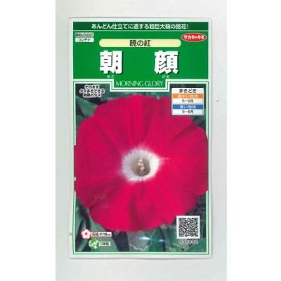 画像1: 送料無料　花の種　朝顔　暁の紅　約10粒　(株)サカタのタネ　実咲250（026193）