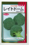 送料無料　[ブロッコリー]　レイトドーム　2000粒　(株)サカタのタネ