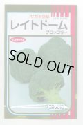 送料無料　[ブロッコリー]　レイトドーム　2000粒　(株)サカタのタネ