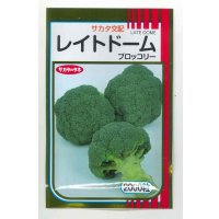 送料無料　[ブロッコリー]　レイトドーム　2000粒　(株)サカタのタネ