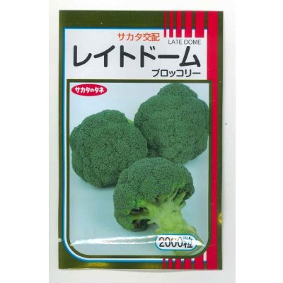 画像1: 送料無料　[ブロッコリー]　レイトドーム　2000粒　(株)サカタのタネ