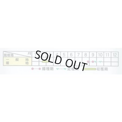 画像6: 送料無料　[ブロッコリー]　レイトドーム　ペレット5000粒　(株)サカタのタネ