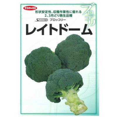 画像2: 送料無料　[ブロッコリー]　レイトドーム　ペレット5000粒　(株)サカタのタネ
