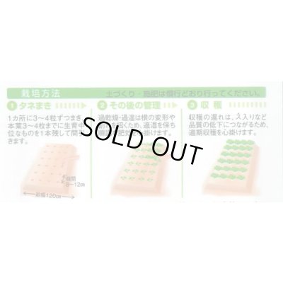 画像3: 送料無料　[かぶ]　なつばな　2.7ml　タキイ種苗(株)　RF