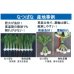 画像4: 送料無料　[かぶ]　なつばな　2.7ml　タキイ種苗(株)　RF (4)