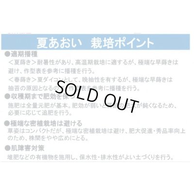 画像3: 大根　夏あおい　ペレット種子5000粒　タキイ種苗(株)