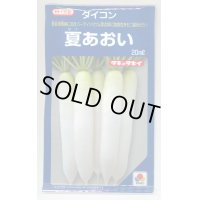 大根　　夏あおい    20ml   タキイ種苗（株）