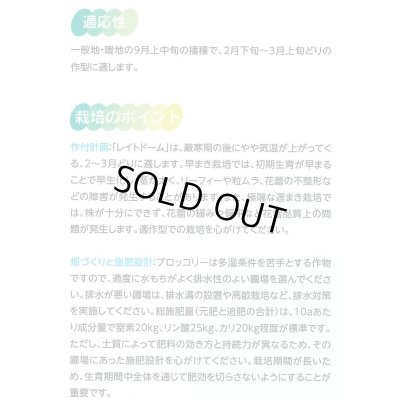 画像4: 送料無料　[ブロッコリー]　レイトドーム　ペレット5000粒　(株)サカタのタネ