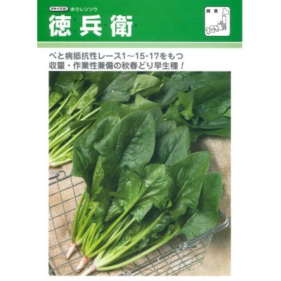 画像2: 送料無料　[ほうれんそう]　徳兵衛　40ml　タキイ種苗(株)　RF