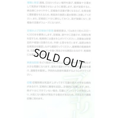 画像5: 送料無料　[ブロッコリー]　レイトドーム　ペレット5000粒　(株)サカタのタネ