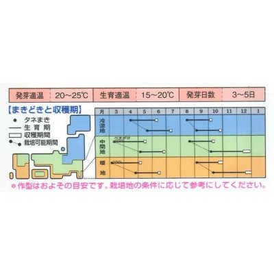 画像2: 送料無料　[かぶ]　なつばな　2.7ml　タキイ種苗(株)　RF