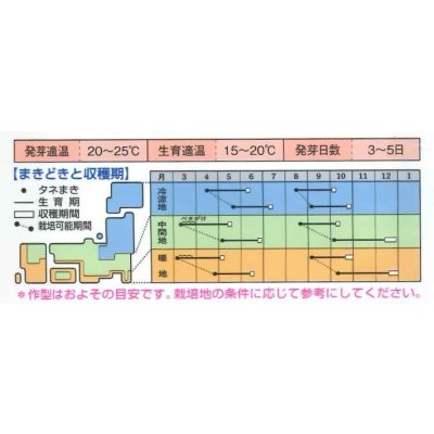 画像2: [かぶ]　なつばな　2.7ml　タキイ種苗（株）　RF　