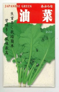[葉物]　油菜　8ｍｌ   タカヤマシード