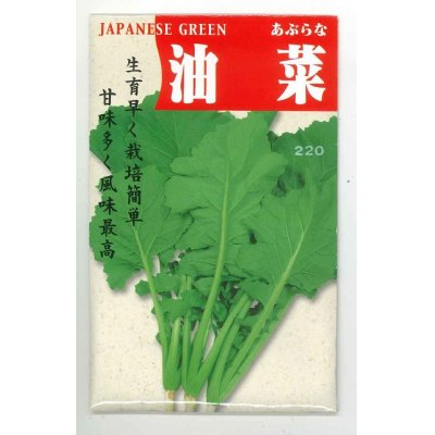 画像1: [葉物]　油菜　8ｍｌ   タカヤマシード