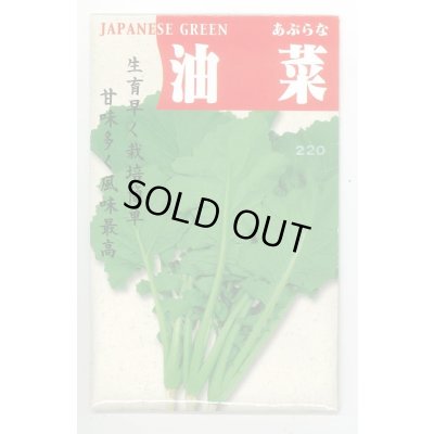画像1: 送料無料　[葉物]　油菜　8ml　(株)タカヤマシード