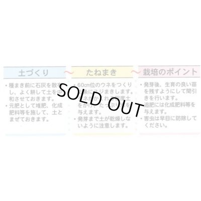 画像4: 送料無料　[葉物]　油菜　8ml　(株)タカヤマシード