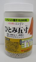 [人参]　ひとみ五寸人参　Lサイズペレット1万粒　カネコ種苗（株）