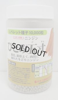 [人参]　ひとみ五寸人参　Lサイズペレット1万粒　カネコ交配